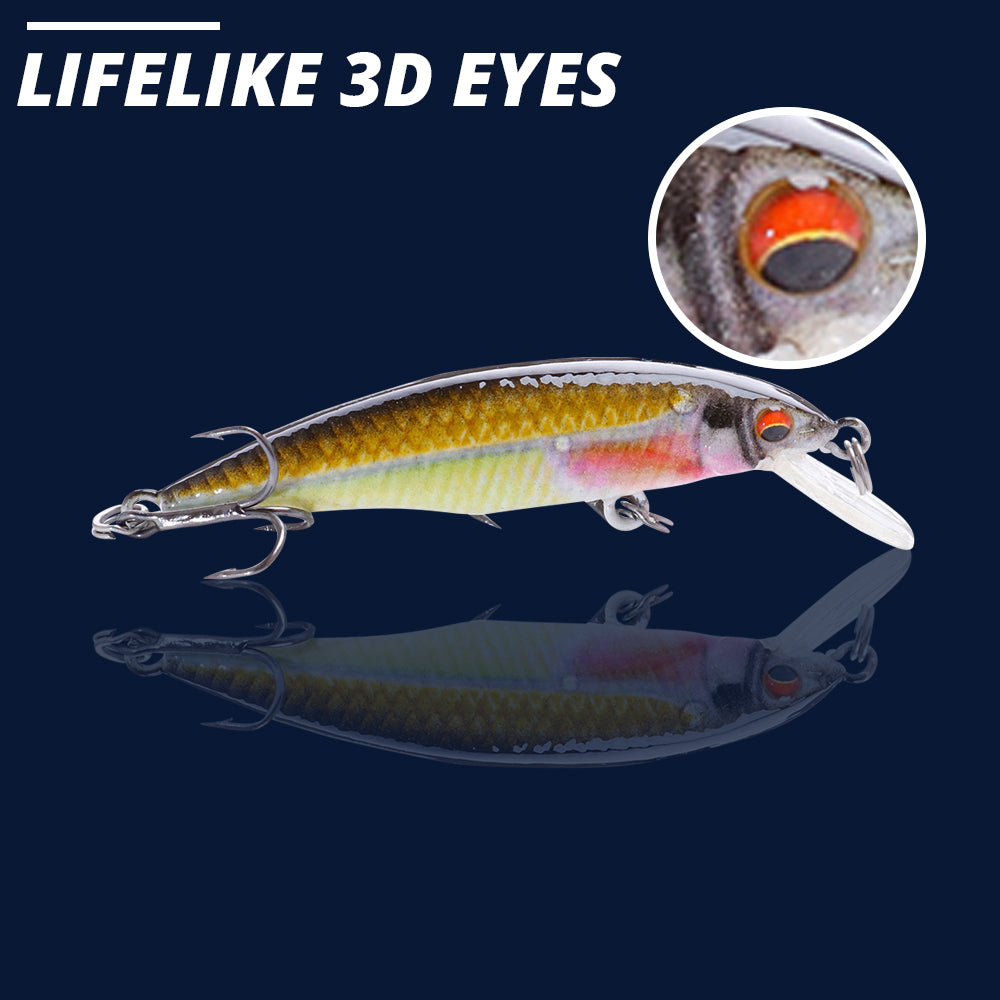 Small Rainbow Crankbait Floating Lure (50mm) - Decoy Angling