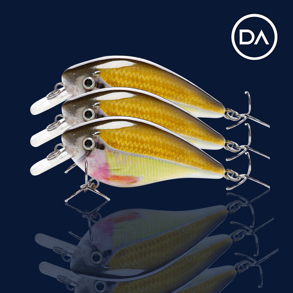 Medium Rainbow Crankbait Floating Lure (75mm) - 3 Pack - Decoy Angling