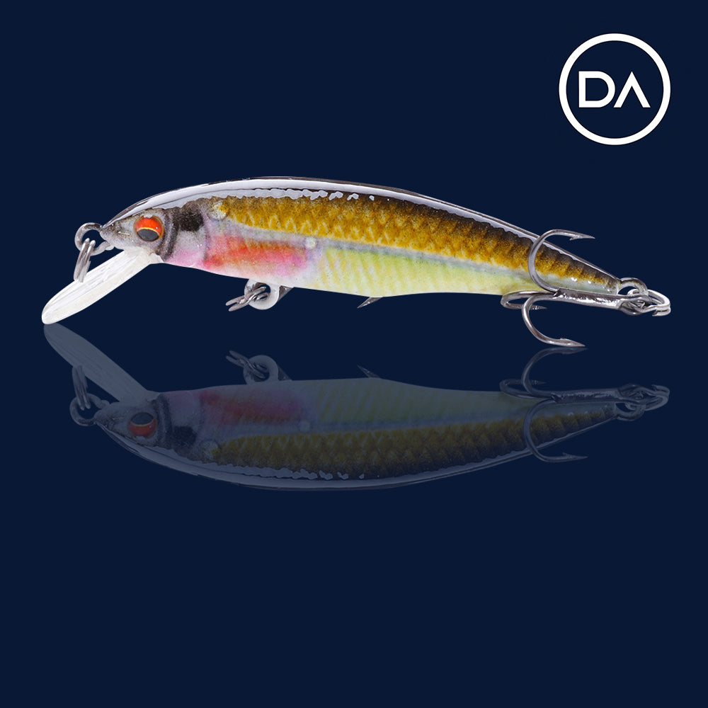 Small Rainbow Crankbait Floating Lure (50mm) - Decoy Angling